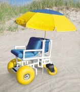 Beach Access Chair